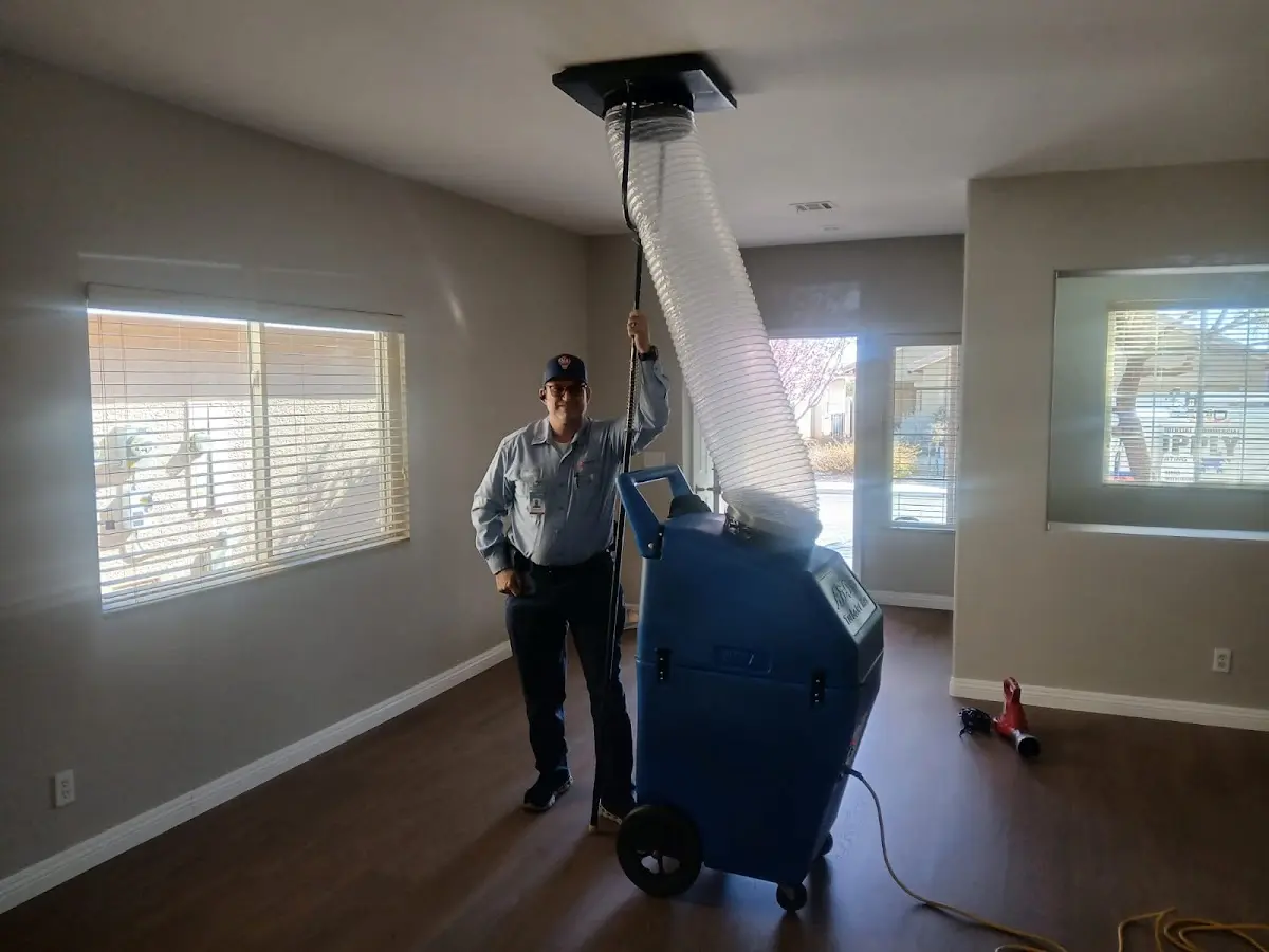 Professional Dryer Vent Cleaning work inside a Artesia home